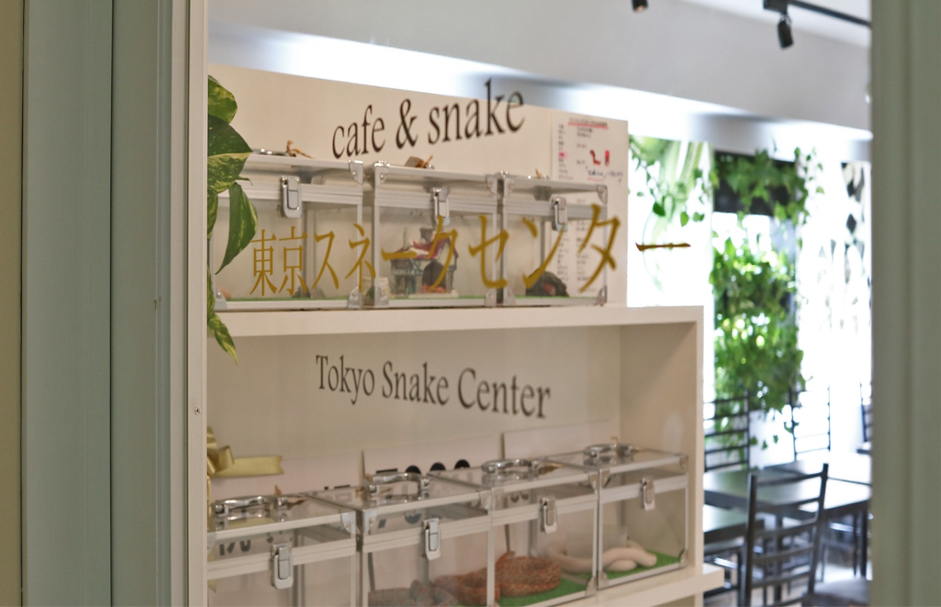 The Snake Center, Tokyo, Japan